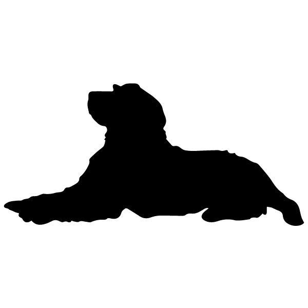 dog calming chews