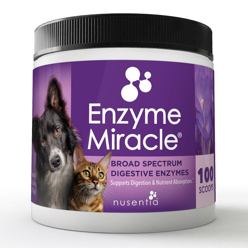 digestive enzymes for dogs and cats