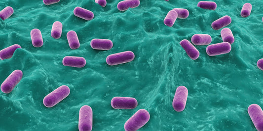 EMERGING STUDIES: BACTERIA KEEPS YOUR PE