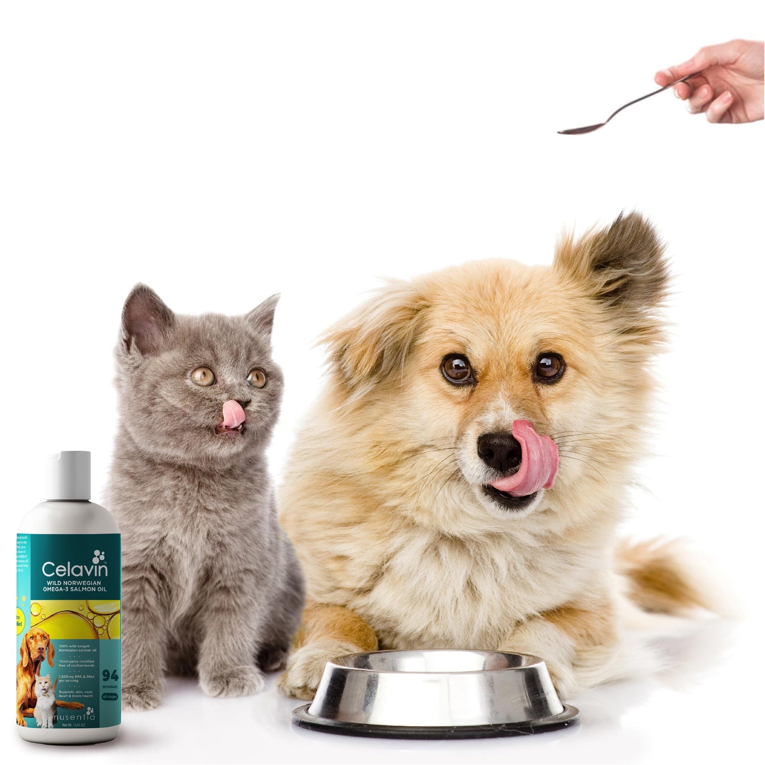 fish oil liquid for dogs