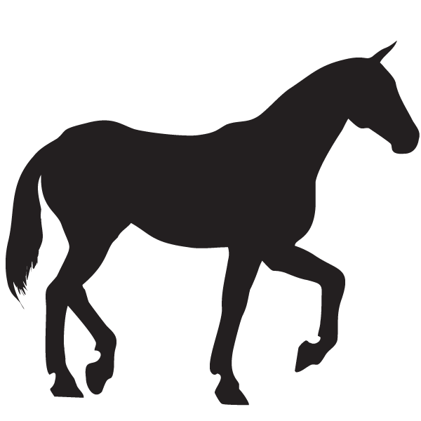 horse joint supplement