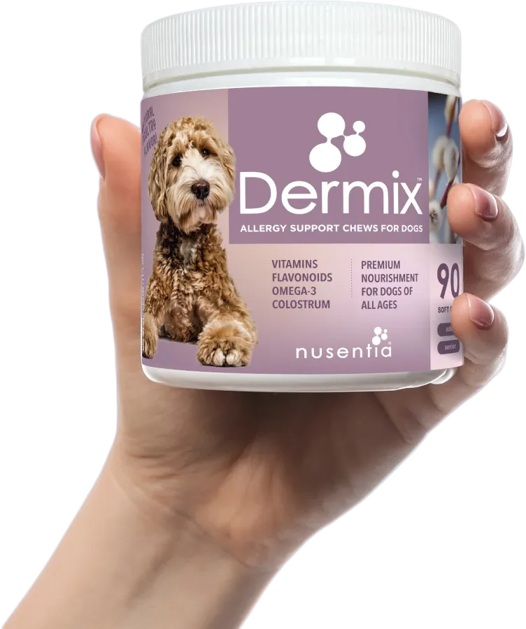 Allergy Chews for Dogs